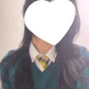 ヒメ日記 2025/12/29 10:30 投稿 りお 横浜シンデレラ（シンデレラグループ）