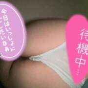 ヒメ日記 2026/01/26 19:16 投稿 さわ ぽっちゃり巨乳素人専門店ぷにめろ蒲田店