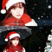 ヒメ日記 2025/12/20 18:05 投稿 花 Le CELINU（ル・セリーヌ）