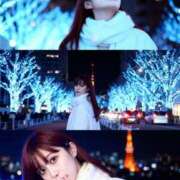 ヒメ日記 2025/12/24 12:31 投稿 花 Le CELINU（ル・セリーヌ）