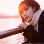 花 今日、会いたいです Le CELINU（ル・セリーヌ）