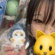 ヒメ日記 2026/01/16 07:42 投稿 すぅちゃん スピード京橋店