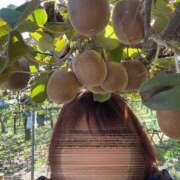 ふじ マイガール登録 完熟ばなな千葉店