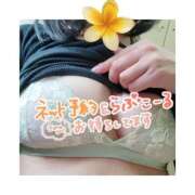 ヒメ日記 2026/02/26 10:30 投稿 月島 あかり(体験) 人妻の雫　福山店