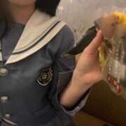 ヒメ日記 2025/12/28 17:31 投稿 かぐや 子猫カフェ 小倉店