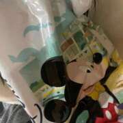 ヒメ日記 2026/01/04 21:06 投稿 かぐや 子猫カフェ 小倉店