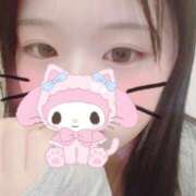 ヒメ日記 2026/02/11 14:52 投稿 かぐや 子猫カフェ 小倉店