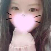 ヒメ日記 2026/02/11 20:48 投稿 かぐや 子猫カフェ 小倉店