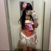 ヒメ日記 2026/07/14 11:38 投稿 かぐや 子猫カフェ 小倉店
