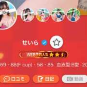 ヒメ日記 2026/01/13 20:01 投稿 せいら TALENT（タレント）