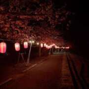 ヒメ日記 2026/04/14 15:30 投稿 すみれ Ace(エース)