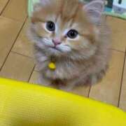 ヒメ日記 2026/01/13 01:05 投稿 すずか ぷるるんギャング