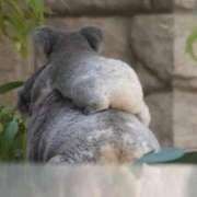 ヒメ日記 2026/02/13 21:55 投稿 すずか ぷるるんギャング