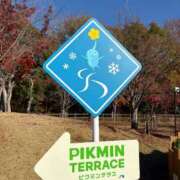 ヒメ日記 2026/04/06 10:53 投稿 りみ あふたーすくーる本店