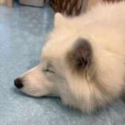 りみ 😴 あふたーすくーる本店