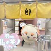 ヒメ日記 2025/12/27 13:39 投稿 咲良なほ 池袋パラダイス