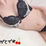 ヒメ日記 2025/12/19 22:49 投稿 みな 東京リップ 秋葉原店