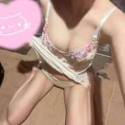 ヒメ日記 2025/12/13 22:43 投稿 くれな【性癖壊しに来ました】 STELLA TOKYO－ステラトウキョウ－