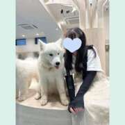 こるね 癒されたい( ◜ᴗ◝ ) One More奥様 大宮店