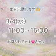 ヒメ日記 2026/03/04 10:11 投稿 酒井ふたば ミセスの癒しエステ