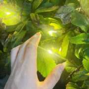 壇 蓉子 光 東京貴楼館