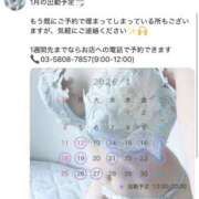 ヒメ日記 2026/01/09 15:09 投稿 りん ルピナス