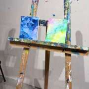 ヒメ日記 2026/01/10 12:54 投稿 りん ルピナス