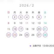 ヒメ日記 2026/01/19 22:01 投稿 りん ルピナス