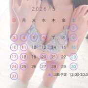ヒメ日記 2026/04/25 12:02 投稿 りん ルピナス