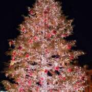 ヒメ日記 2025/12/09 18:43 投稿 りりな 西船人妻花壇