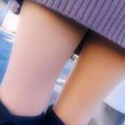 ヒメ日記 2025/12/17 14:41 投稿 ななせ 奥様はエンジェル　町田店