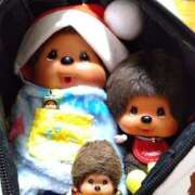 ヒメ日記 2025/12/12 02:50 投稿 くれは 西船橋おかあさん