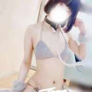 ヒメ日記 2025/12/30 17:15 投稿 ラブカ 妖精（ようせい）