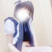 ヒメ日記 2026/01/16 17:02 投稿 ラブカ 妖精（ようせい）