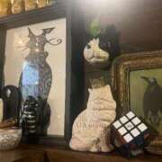 ヒメ日記 2025/12/09 12:46 投稿 ラン ラブコレクション