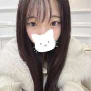 ヒメ日記 2025/12/16 12:01 投稿 シイナ エピソード(品川)