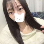 ヒメ日記 2025/12/24 12:16 投稿 シイナ エピソード(品川)