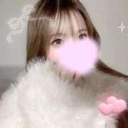 ヒメ日記 2026/02/11 11:40 投稿 あいる 京都出張メンズエステChou Chou（シュシュ)