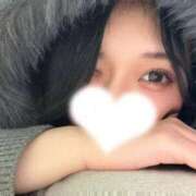 ヒメ日記 2026/01/31 12:57 投稿 めい びくびくサークル五反田店