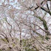 ヒメ日記 2026/02/24 14:01 投稿 めい びくびくサークル五反田店