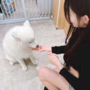 ヒメ日記 2026/08/20 10:00 投稿 小湊かなみ MIRAI TOKYO 六本木店
