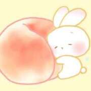 ヒメ日記 2025/12/20 13:23 投稿 もも アラカルト