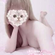 ヒメ日記 2026/02/06 12:58 投稿 もも アラカルト