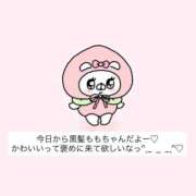 ヒメ日記 2026/02/11 00:15 投稿 もも アラカルト