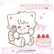 ヒメ日記 2026/02/20 09:26 投稿 もも アラカルト