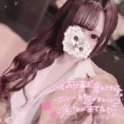 ヒメ日記 2026/02/24 23:46 投稿 もも アラカルト