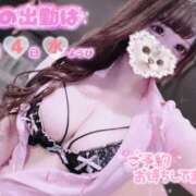 ヒメ日記 2026/02/28 18:34 投稿 もも アラカルト