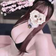 ヒメ日記 2026/03/17 11:45 投稿 もも アラカルト