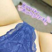 ヒメ日記 2026/04/11 00:15 投稿 せいら YESグループ　華女