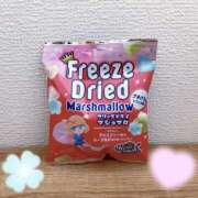 ヒメ日記 2026/03/16 20:43 投稿 高瀬みそら 社外秘 松戸支店